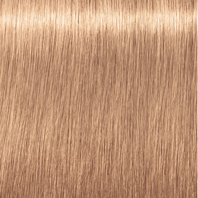 Schwarzkopf IGORA Royal HighLifts Permanent Hair Color - Choose Yours