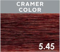 Kemon Creamer Tone On Tone Hair Color - Choose Yours