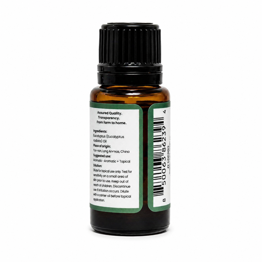 Aro Haven Eucalyptus Essential Oil 0.5 fl oz (15 mL) – 100% Pure Eucalyptus Globulus Oil – GC/MS Tested, High 1,8-Cineole Content, Aromatherapy Diffuser Oil, Fresh Crisp Aroma, Premium Essential Oil