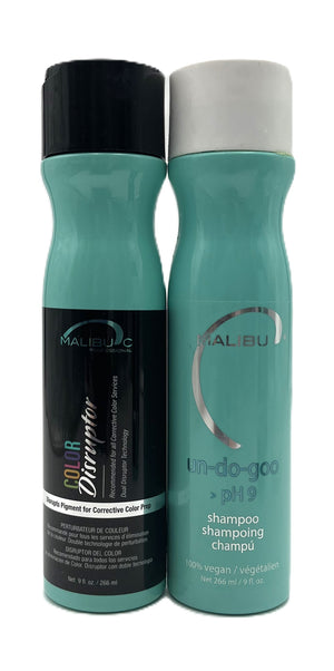 Descriptive image text